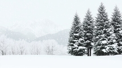 Winter landscape with snow covered trees in a serene forest setting