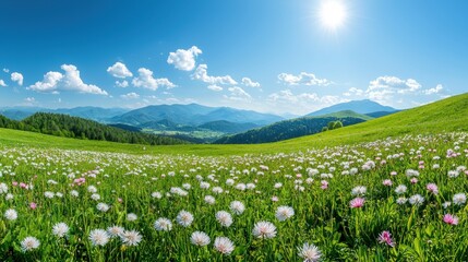 A panoramic view of a mountain meadow in spring, carpeted with wildflowers of various colors, showcasing the beauty and serenity of natural landscapes.