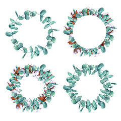 Eucalyptus branches and cotton bolls. Set of wreaths, round frames. Hand drawn watercolor isolated botanical illustration. For design, decor, typography and printing, souvenirs