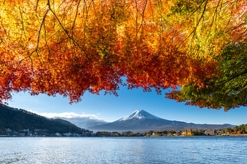 Fototapeta premium 山梨県河口湖町にある富士五湖のうちの一つ河口湖から見た秋の紅葉と富士山