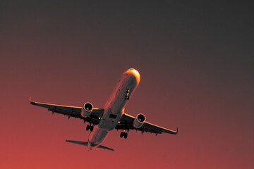 early morning flight