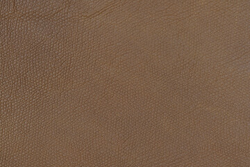 genuine leather mocha mousse tones, pantone color, background picture, color of the year