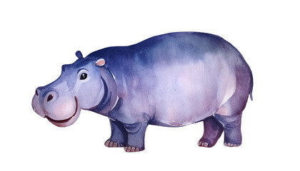 Fototapeta premium Adorable Watercolor Hippopotamus Cute African Animal Illustration