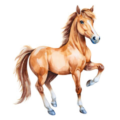 Obraz premium Beautiful Brown Horse Watercolor Painting Equestrian Art Animal Portrait