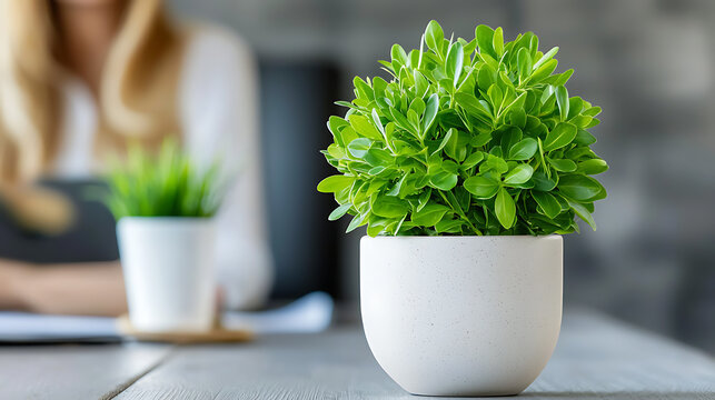 Indoor greenery care tips for home office enhancing productivity and aesthetics in a modern workspace