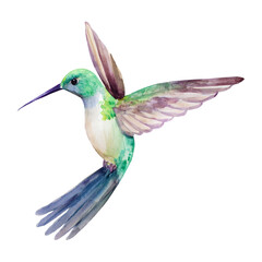 Vibrant Watercolor Hummingbird in Flight Nature Wildlife Art