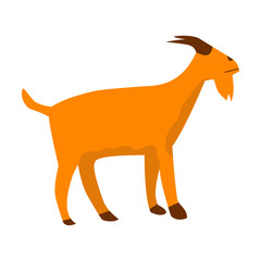 Flat Islam Muslim Icon 