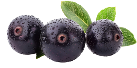 Close-up of three ripe acai berries with water droplets