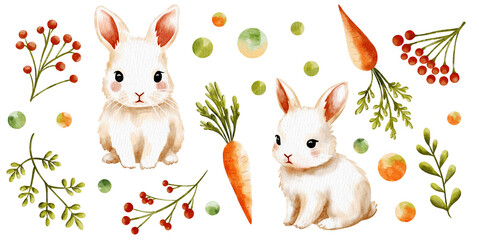 Clipart with rabbits, carrots, green plants and berries, watercolor illustrations 