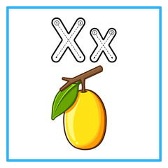 tracing alfabet fresh ximenia illustration © Rahmatullah
