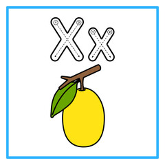 tracing alfabet flat ximenia illustration © Rahmatullah