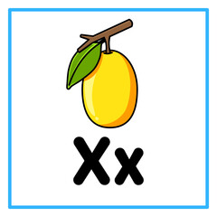 ximenia fruit alfabet x illustration © Rahmatullah