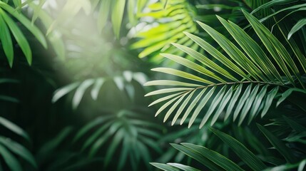 Naklejka premium Lush green foliage with varying textures and shades, creating a serene and vibrant atmosphere reminiscent of a tropical paradise.