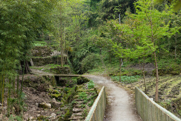 Country road in Sakura Valley, Yaojiagou, Pengzhou, Sichuan, China