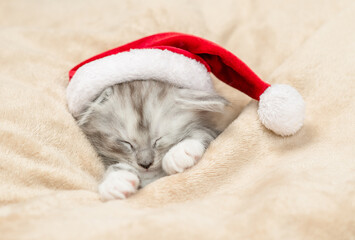 Cozy maine coon kitten wearing red santa's hat sleeps under warm blanket on a bed at home. Top down...