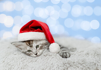 Cute maine coon kitten wearing red santa hat lying on festive background. Empty space for text