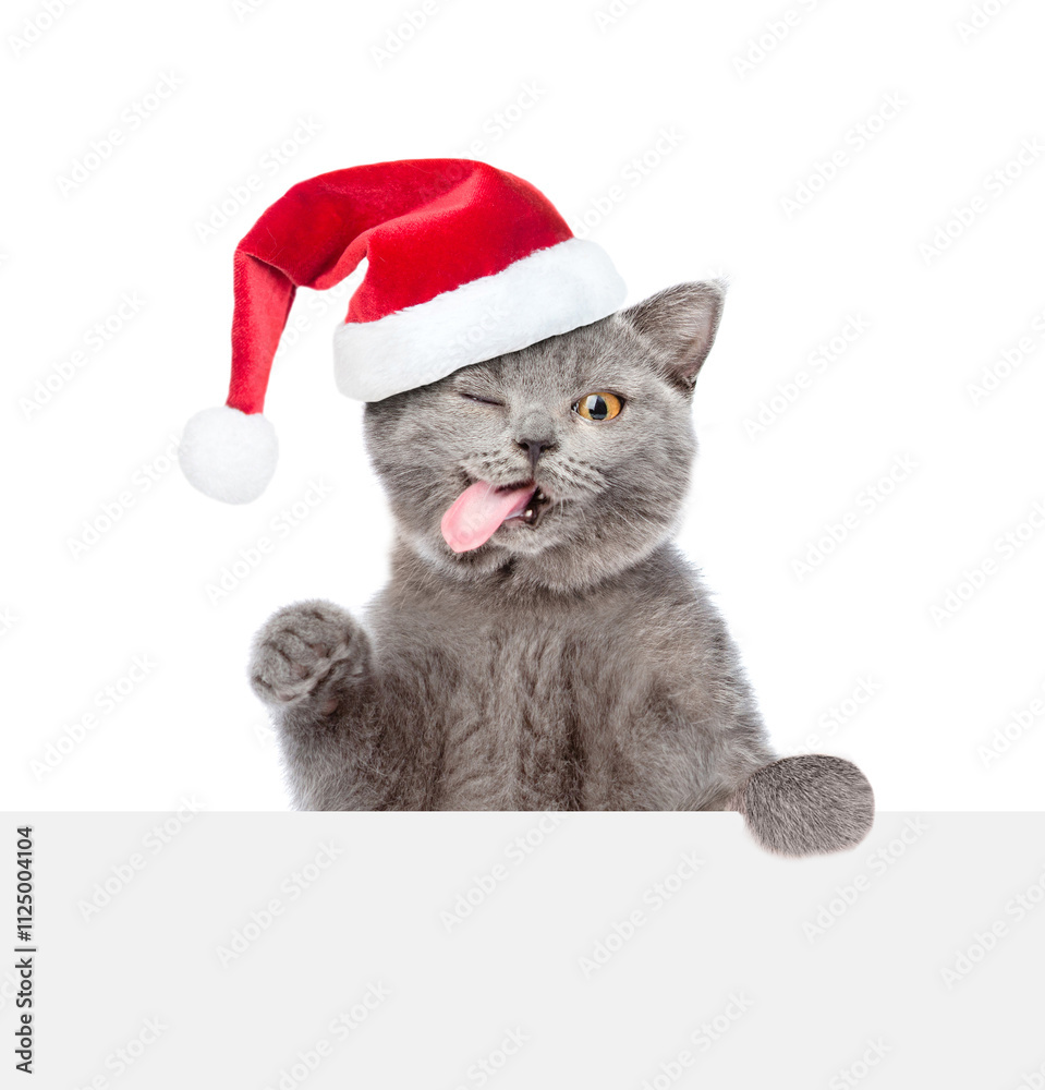 Aufkleber Winking happy cat with tongue out wearing red christmas hat looks above blank white board. Empty space for text. isolated on white background