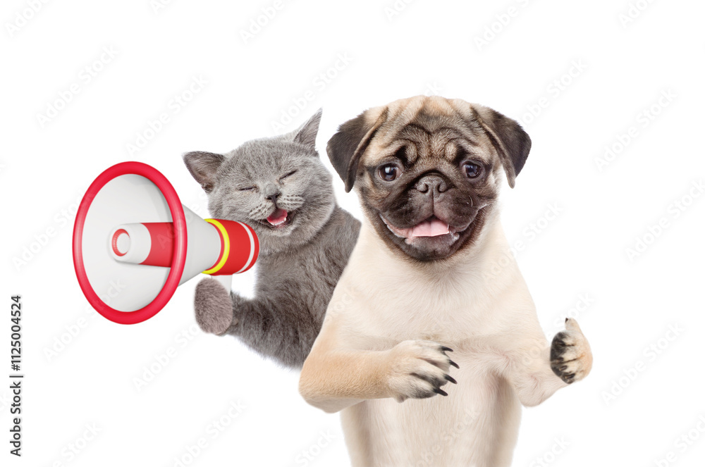Poster happy cat and pug puppy looks at camera. dog showing thumbs up gesture. kitten meowing into the mega