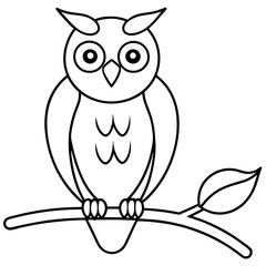 owl on branch