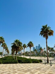 Palm trees lining a paved walkway bordered by green shrubs. Modern skyscrapers with unique designs in the background under a clear blue sky, giving the scene a tropical, urban feel.