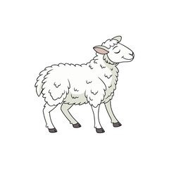 sheep vector art and illustration