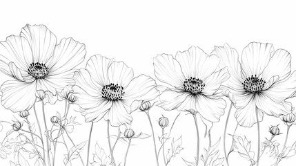 Naklejka premium Elegant floral illustration featuring four detailed, hand-drawn flowers on a white background.