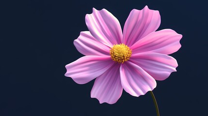Obraz premium A beautiful pink flower stands elegantly against a dark background, showcasing its delicate petals and vibrant yellow center.