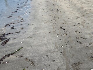 Sea Sand Surface On a Beach