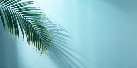Fototapeta premium Palm Frond Shadow on Aqua Minimalist Summer Composition