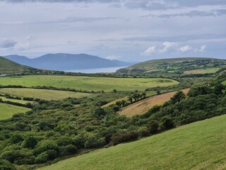 Mountainous Natural Landscape with Trees and Grass under Cloudy Sky