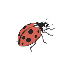 ladybug vector art and illustration