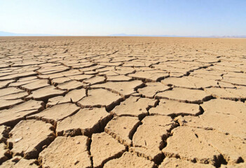 Parched Earth: Cracks And Textures Of Dry Soil