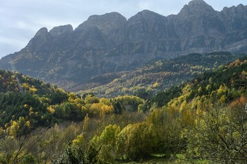 Autumn forest of Piedrafita de Jaca - Huesca
