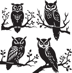 set of owls