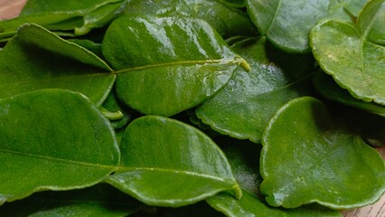 Top view of fresh green citrus leaf