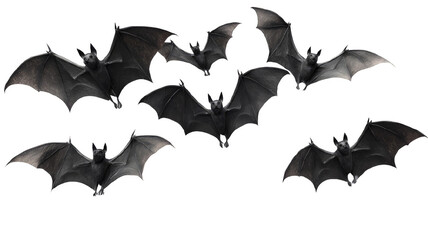 Fototapeta premium A swarm of bats in flight against a black background.