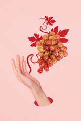 Vertical photo collage of hand hold grape wine sweet berry fruit branch sugary autumn summer...