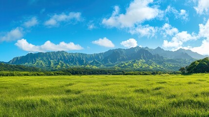 A vast meadow covered in lush greenery with a backdrop of mountains.