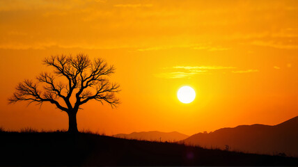 Fototapeta premium Silhouetted tree at sunrise with vibrant orange sky