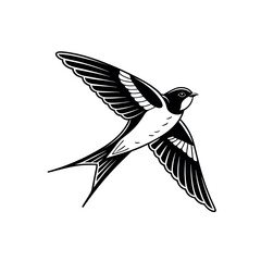 black and white bird