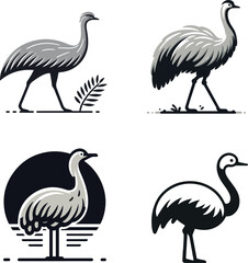 Simple and Minimalist Rhea Vector Illustration on White Background