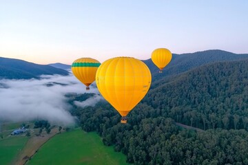 Fototapeta premium A serene photo of hot air balloons rising over a misty valley, their dynamic ascent set against a golden sunrise