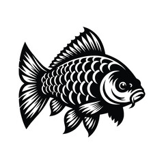 Carp Fish Vector art