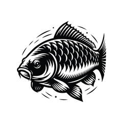 Carp Fish Vector art