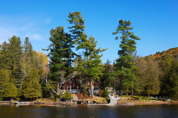 Scenic Riverside Cabin Surrounded by Tall Pines and Vibrant Autumn Leaves
