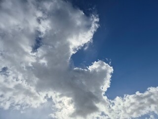 Fototapeta premium White fluffy cumulus clouds in the summer sky