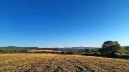 Fototapeta premium Picturesque Countryside Landscape with Vibrant Blue Sky and Lush Farmland