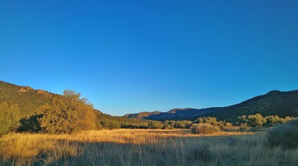 Scenic Autumn Landscape with Mountains Lake and Vibrant Foliage