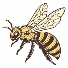 animal icon