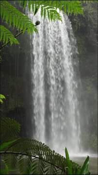 Milla Milla falls Australia tropical north queensland